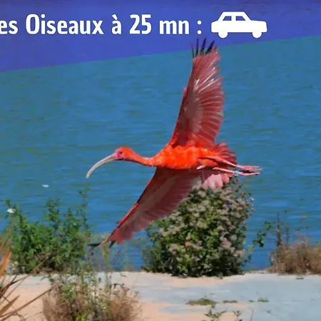 L'Emeraude - 1 A 4P - Wifi Fibre - Parking Gratuit Pont-d'Ain Exterior photo